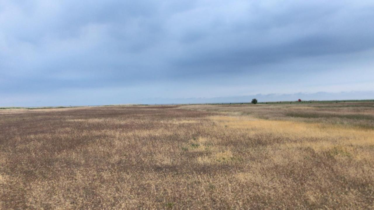 Chalet De Huismus Rijs Zewnętrze zdjęcie